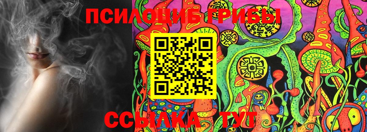 Галлюциногенные грибы Psilocybe Сунжа