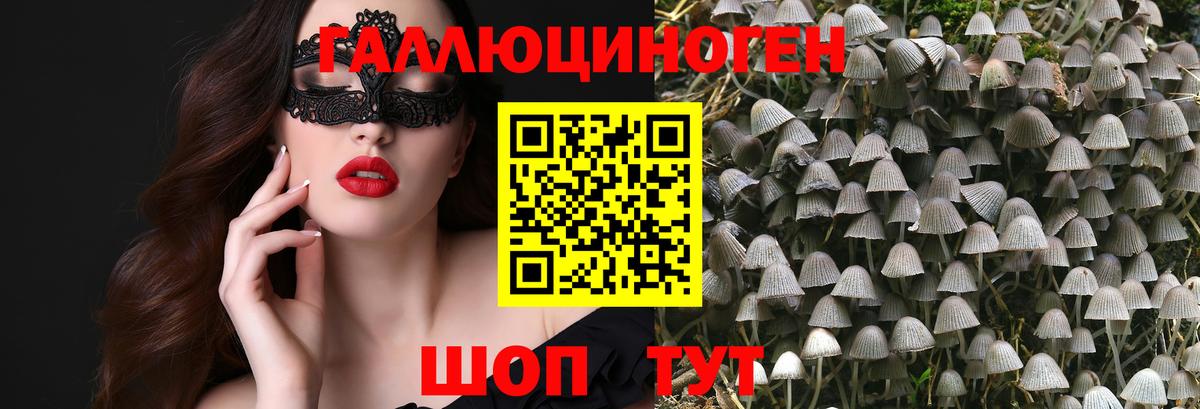 Псилоцибиновые грибы Magic Shrooms  Вход с VPN  Сунжа 